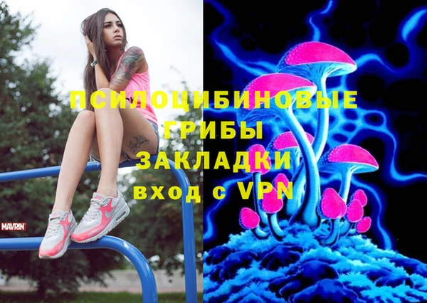ECSTASY Рославль