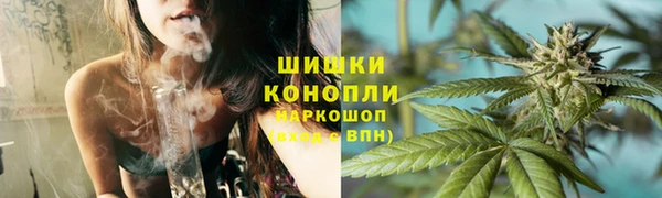 шишки Беломорск