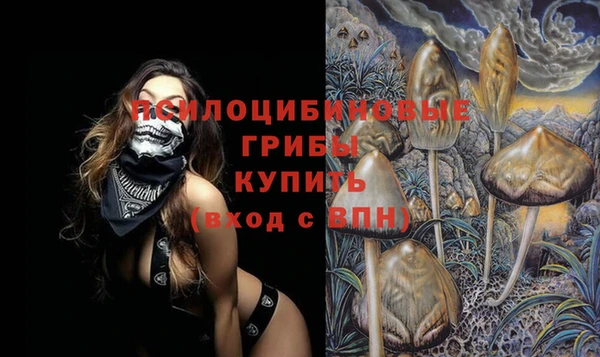 шишки Беломорск