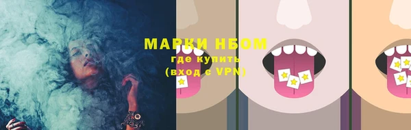 шишки Беломорск