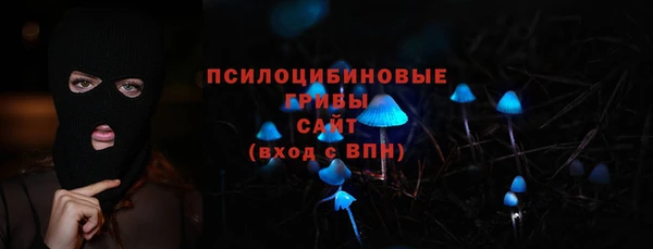 шишки Беломорск
