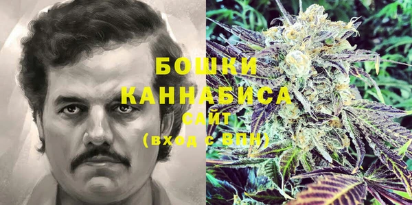 шишки Беломорск