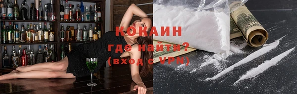 шишки Беломорск